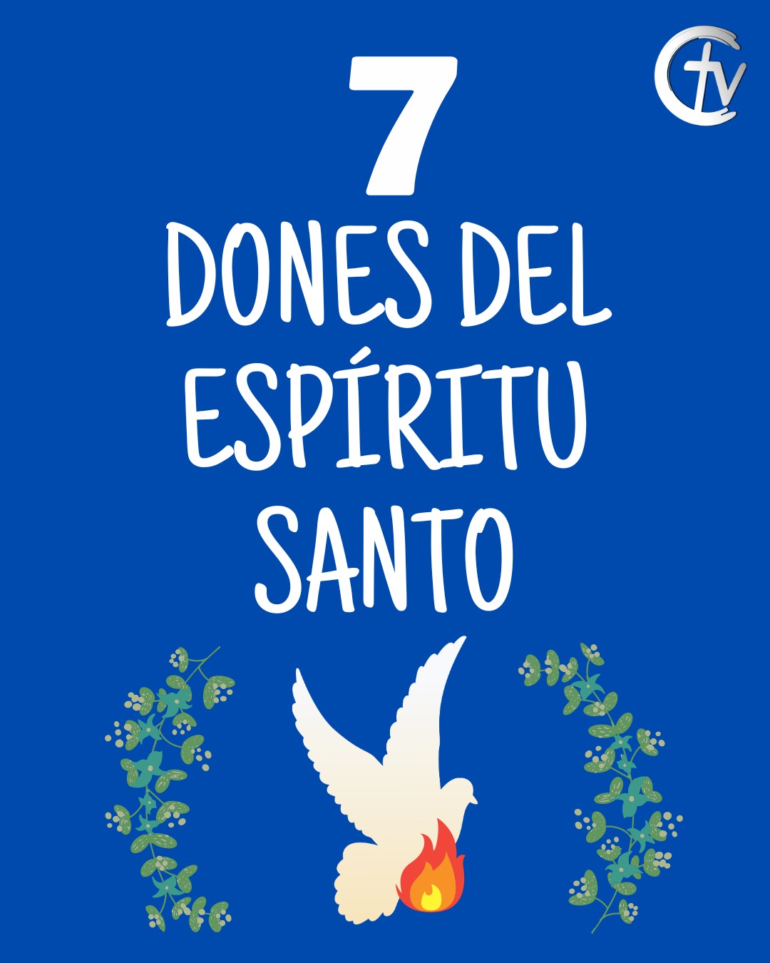 https://cristovision.tv/articulo/7-dones-del-espiritu-santo